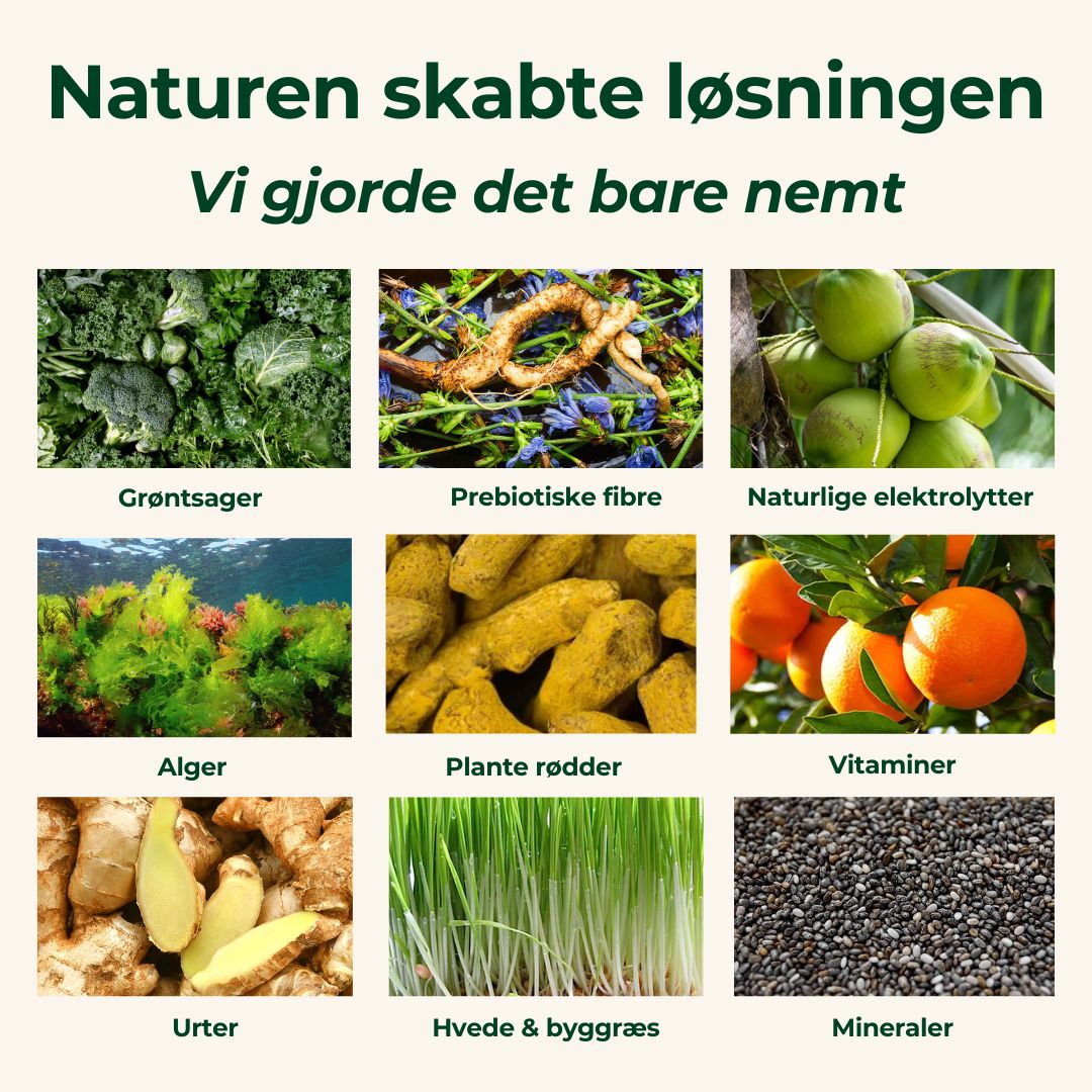 Køb 3 få 4 greens + gratis shaker