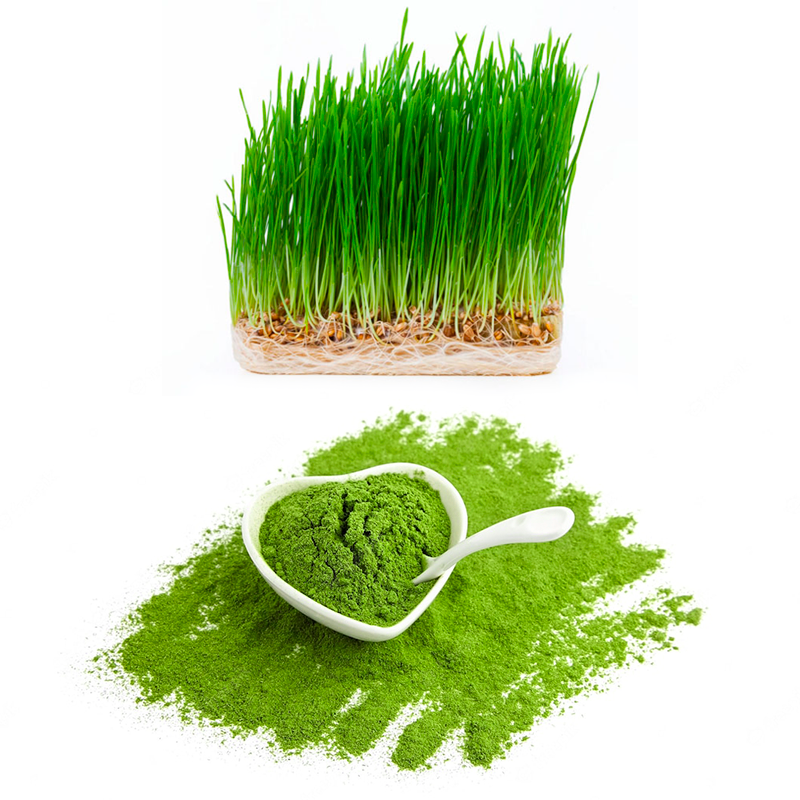 grøntsagspulver, Superfoods, Superfoodpuvler, hvad gør greens, grønt pulver, grønt pulver helsekost, hvad er superfood, Superfood opskrifter, Superfood grøntsager